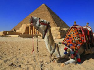 Hurghada nach Kairo Ausflug