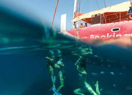 Der Katamaran Ocean Diva (kleine Gruppe)