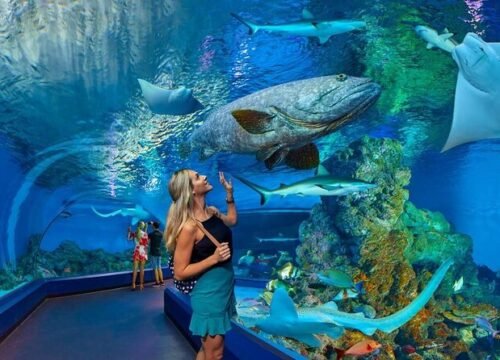 Eintrittskarte zum Hurghada Grand Aquarium