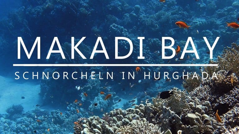Makadi Bay Schnorcheln | Hurghada Rotes Meer erleben