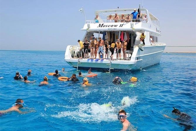 Mit Delfinen schwimmen in Hurghada