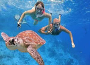 Schnorchelausflug Hurghada - Unterwasserwelt Rotes Meer