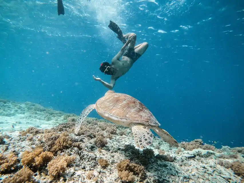 Schnorchelausflug Hurghada - Unterwasserwelt Rotes Meer