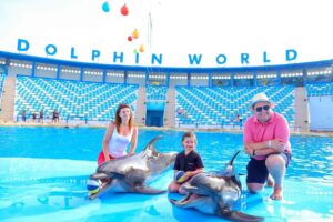 Dolphin World Show Hurghada Tickets buchen - Familie genießt Delfinshow