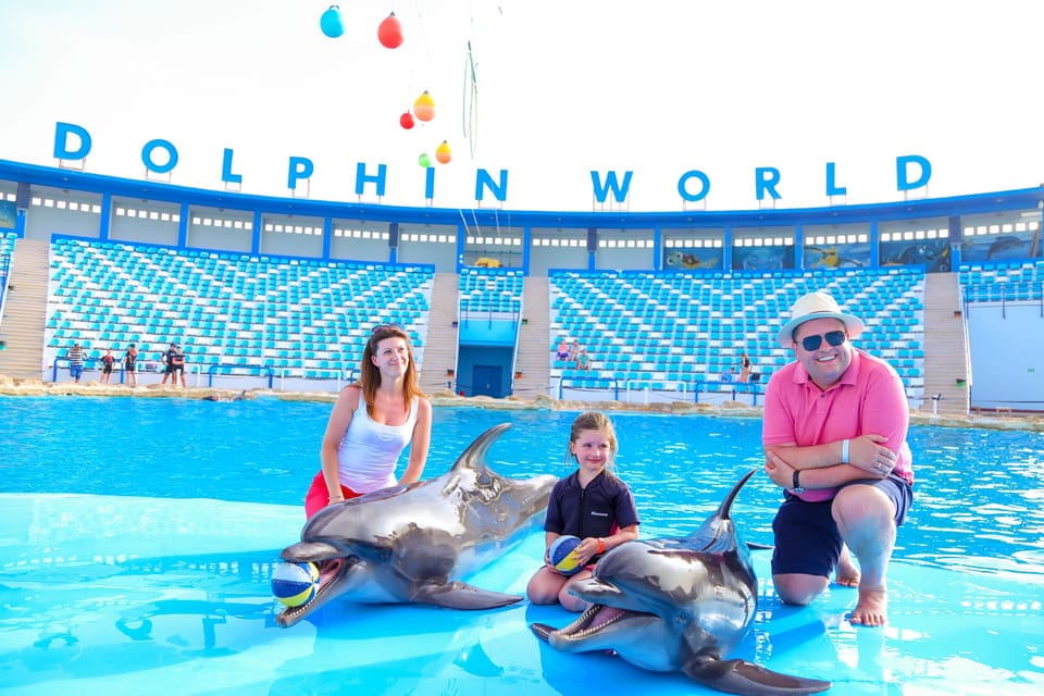 Dolphin World Show Hurghada Tickets buchen - Familie genießt Delfinshow