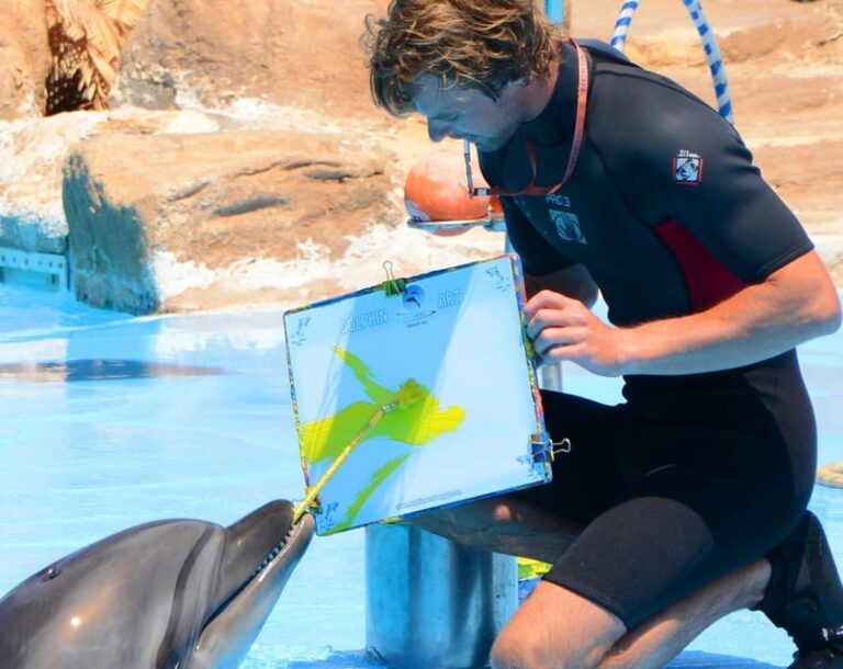 Delfin Show Hurghada buchen - Faszinierende Delfine in Hurghada