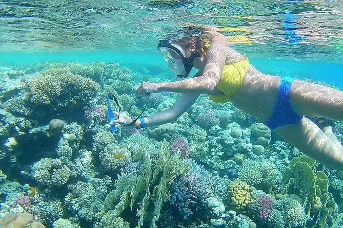 Ausflüge Hurghada deutsch