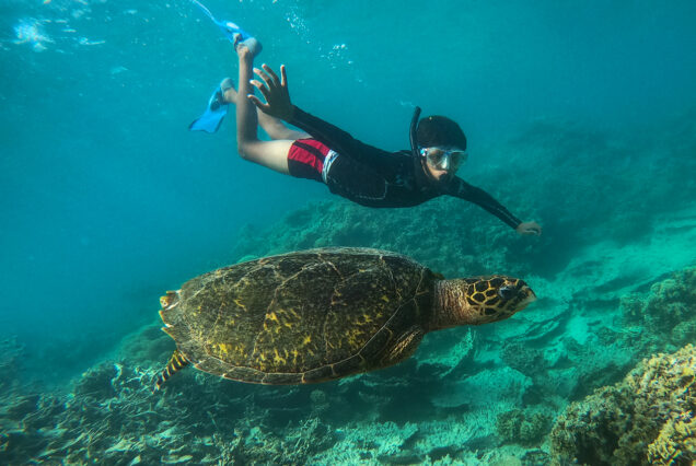 Hurghada Ausflüge 2026 - Rotes Meer Schnorcheln