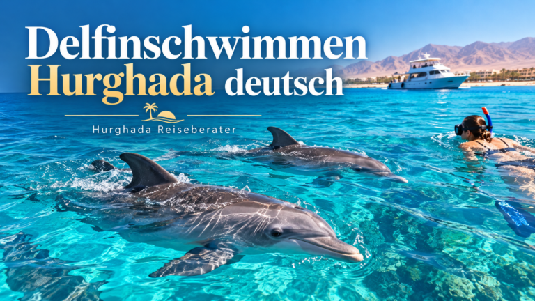 Delfinschwimmen Hurghada deutsch